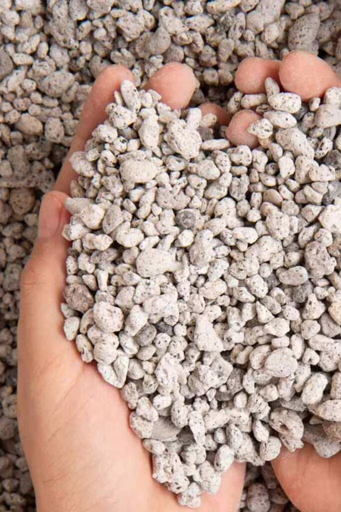 Pumice Living Soil Organic